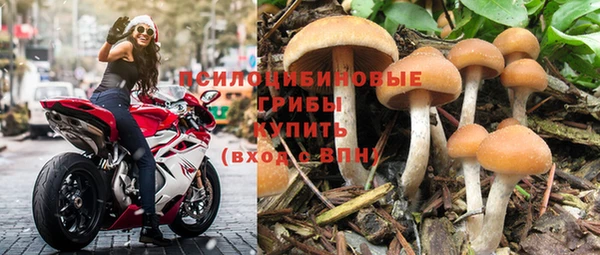 крисы Гусиноозёрск