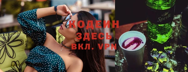 гашик Михайлов