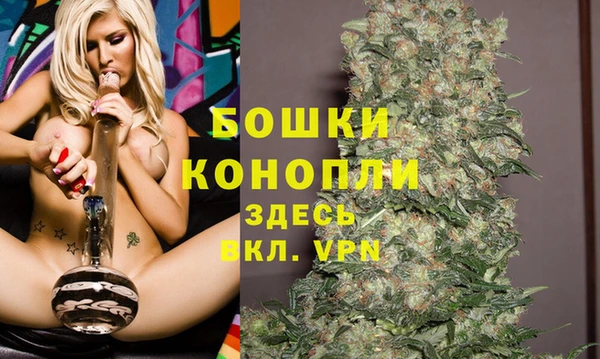 крисы Гусиноозёрск