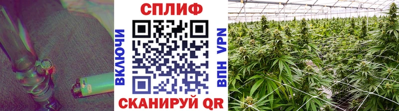 МАРИХУАНА ГИДРОПОН  гидра сайт  Данилов  купить наркотики цена 